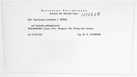Phyllachora embeliae image